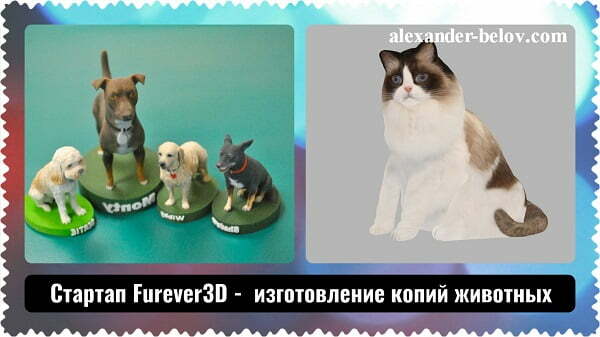 Стартап Furever3D -  изготовление 3Д копий животных